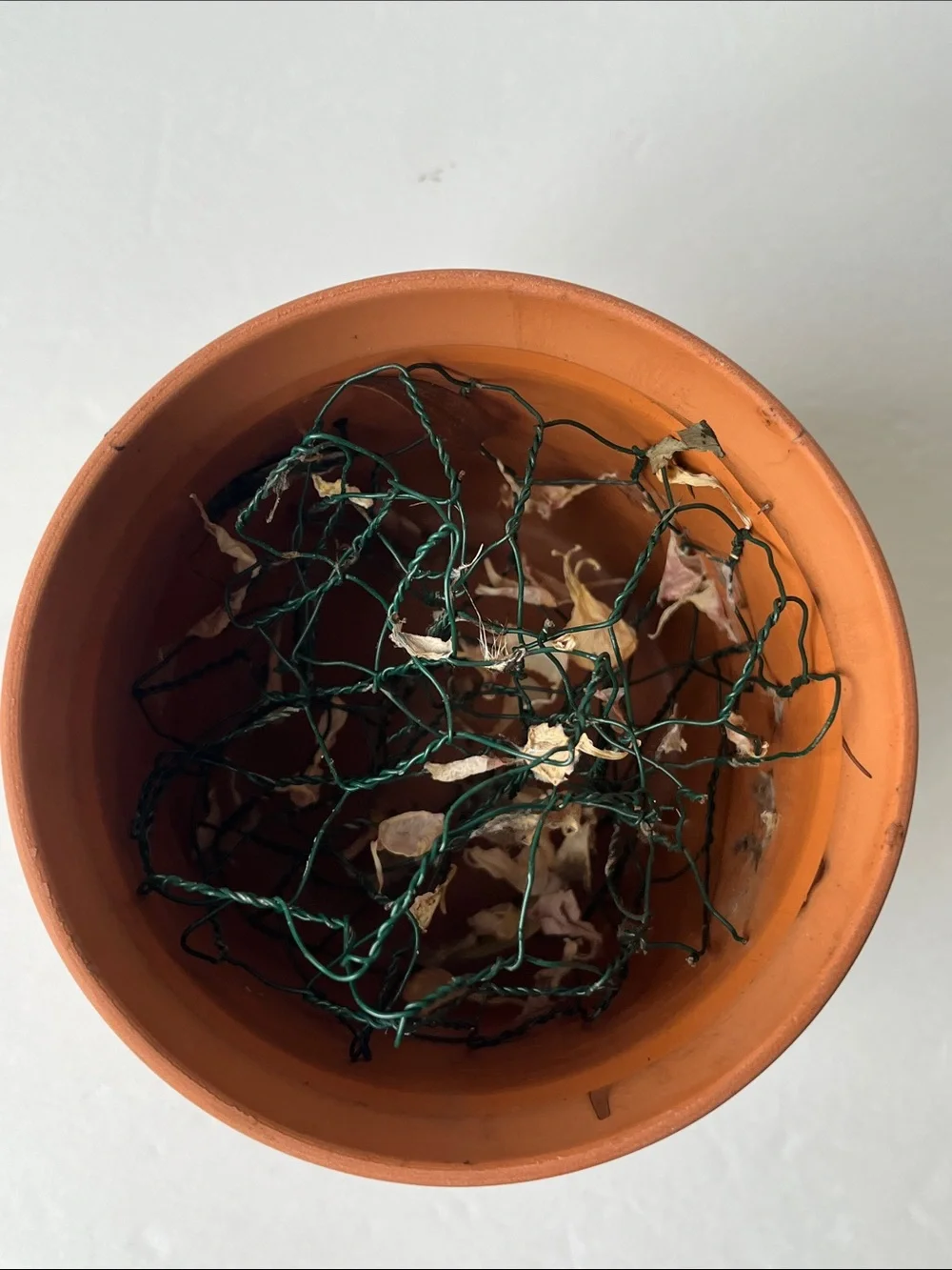Flower Arranging Vase Terracotta Ceramic Floral Pot with Chicken Wire